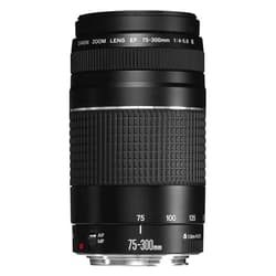 Canon EF 75-300mm f/4-5.6 III Telephoto Zoom Lens for Canon SLR Cameras
