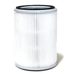 Nispira 3-in-1 True HEPA with Activated Charcoal Replacement Filters, Compatible with TOPPIN TPAP001 Air Purifier Comfy Air C2, 1-Pack
