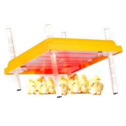 COSYOO Brooder Heater for Chicks, 10