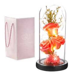 Oridom Preserved Flower Gift, Light Up Rose in Glass Dome, Eternal Forever Rose Flower Gifts for Her, Grandma, Mother’s Day, Valentine’s Day, Anniversary, Birthday, Christmas Decorations, Rose Pink