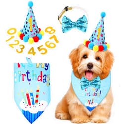 Weewooday Dog Birthday Party Supplies Birthday Boy Girl Cake Bandana Triangle Scarf Clothes Shirt Cute Dog Hat Dog Bow Tie Collar with 0-8 Numbers for Dog Puppy 1st Birthday (Cute Style, Medium)