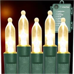 TWINGLEHOME 100LED Mini Lights,Green Wire,Waterproof Battery Case,Multi Functions,Timer,Warm White（2 Sets - Each 50 Count LED）