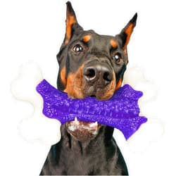 Kseroo Tough Dog Chew Toys for Aggressive Chewers Large Medium Breed, Bone Toy Dog, Natural Nylon Heavy Duty Extreme Indestructible Teething Training