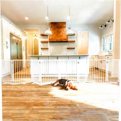Snagle Paw Extra Wide Dog Gate,Free Standing Dog Fence with Door, Up to 208 Inch Wide Pet Gate with Support Feet for Stairs, Hallways, Doorways, Yard (White, 8 Panels)