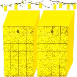 Qualirey 100 Pcs Yellow Sticky Trap for Gnats 3 x 5'' Dual Side Sticky Fruit Fly Trap with Tie Plant Sticky Trap for Flying Insect Fungus Bugs Flying Sticky Trap Sticky for Indoor Outdoor