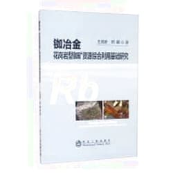 Chinese Edition by XING PENG WANG CHENG YAN (Author) Rubidium Metallurgy: Basic Research on Comprehensive Utilization of Granite-type Rubidium Ore Resources(Chinese Edition)