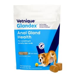 Vetnique Glandex Anal Gland Soft Chew Treats with Pumpkin for Dogs Digestive Enzymes, Probiotics Fiber Supplement for Dogs Boot the Scoot (30ct, Peanut Butter Chews)
