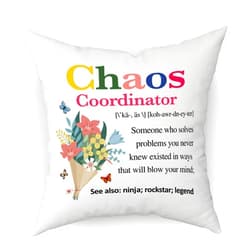 RLCNOT Chaos Coordinator Gift for Women Throw Pillow Cover, Thank You Gift Home Office Decor Waist Pillowcase, Appreciation Gift for Teacher Mentor Boss Friends Coworker, Cushion Cover for Sofa Bed Couch -31