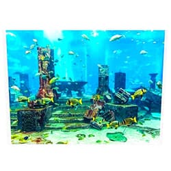 Yosoo PVC Fish Wall Decorations Sticker, Coral Aquarium Background Underwater Poster, Dual Side 3D Effect Sea-World Pattern (61 x 30cm)