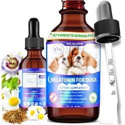 WEALLIN Melatonin for Dogs with L-Theanine & Chamomile | Anxiety Relief & Calming, Relaxation & Sleep Support Liquid Dog Melatonin | Fast-Absorbing & Bacon Flavor (1 PC)