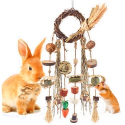 Bissap Bunny Chew Toy, Rabbits Cage Hanging Chew Toys and Treats Rattan Ring with Snacks Water Grass Wooden Block Carrot for Guinea Pigs Chinchillas Hamsters Rats and Other Small Pets Teeth Grinding
