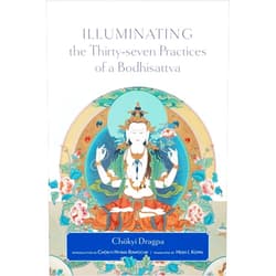 Chokyi Dragpa,Heidi I. Koppl,Chokyi Nyima Rinpoche Illuminating the Thirty-Seven Practices of a Bodhisattva