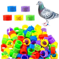 MEWTOGO 8mm 100 Pcs Bird Pigeons Leg Rings - Colorful Readable Numbered Bird Identification Leg Bands, Durable Poultry Leg Bands Clip on Leg Rings for Bantam Finch Dove Lovebird Coturnix Quail
