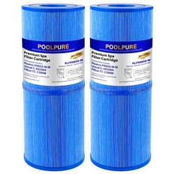 POOLPURE Antimicrobial Spa Filter Replacement for Pleatco PRB50-IN-M, Unicel C-4950RA, Guardian 413-212-02, Filbur FC-2390M,17-2380,Jacuzzi J200 Series Filter,373045, 5X13 Hot Tub Filter, 2 Pack