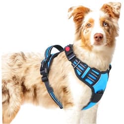 rabbitgoo Dog Harness Medium Sized, No Pull Pet Harness with 3 Buckles, Adjustable Soft Padded Dog Vest with Instant Control Handle, Easy Walking Reflective Pet Vest for Medium Dogs, Sky Blue, M