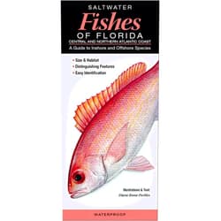 Diane Rome Peebles Saltwater Fishes of Florida-Central & Northern Atlantic Coast: A Guide to Inshore & Offshore Species