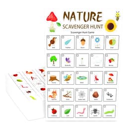 Hoolerry 30 Pcs Nature Scavenger Hunt for Kids Car Scavenger Hunt Cards Road Trip and Travel Activities Camping Scavenger Hunt Game Outdoor Indoor Seek Activity for Kids Adults(Nature)
