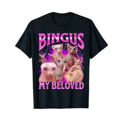 MildlyPerturbed Bingus My Beloved Funny Sphinx Cat Meme Bootleg Graphic T-Shirt