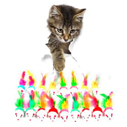 FYNIGO Cat Mouse Toys,17 PCS Cat Toy Mice Rattle Set,Interactive Cat Toy for Indoor Cats and Kittens,Assorted Color Catnip Toys with Feather Tail