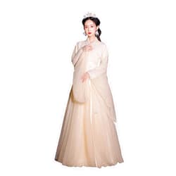 YANLINA Hanfu Women's Ancient Hanfu Chinese Traditional Costumes Princess Dress Fairy Skirt Halloween Cosplay Dresses (Color : Beige, Size : XX-Large)