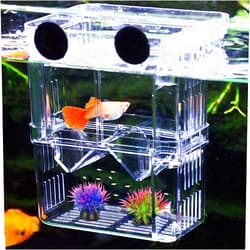 NETUME Aquarium Fish Breeding Box, NETUEM Acrylic Double Layer Fish Isolation Box/Baby Fish Hatchery/Fry Breeder Box for Guppy,Tropical Fish, Floating Fish Incubator Tank Divider with Suction Cups, L size