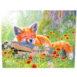 Cra-Z-Art RoseArt - Abraham Hunter - Summer Dreams - 300 XL Pieces Jigsaw Puzzle for Adults