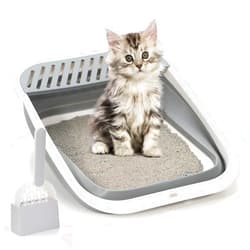 TomteNisse Open Top Cat Litter Box, Large Foldable Cat Potty Height-Adjustable Sides Anti-Splash, Open Air Kitty Litter Pan No Smell, Cat Toilet Easy Clean with Cat Litter Scoop (Gray)