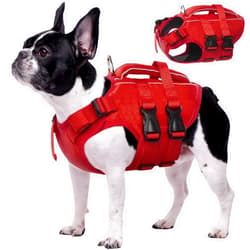 Kuoser Dog Life Jacket High Flotation, Reflective Dog Life Vest for Swimming Boating, Adjustable Small Medium Large Dog lifejacket, Lightweight Dog life Preserver Rescue Handle Spring Summer Pool