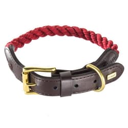 Embark Pets Country Dog Rope Collar - Braided Cotton and Rolled Leather Dog Collar for Small Dogs - Durable Dog Collars for Small Dogs and Strong Build for Training, Walking, Running (Small, White)