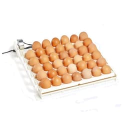 Farm Innovators 3200 Automatic 41 Spot Egg Turner, Eliminate Manual Handling & Improve Hatching Rate