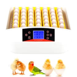 Imseigo 56 Egg Incubator with Humidity Display, Egg Candler, Automatic Egg Turner with Temperature Control, Poultry Hatcher Machine with LED Screen for Hatching Chicken (56-Egg)