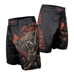 AUREIKA Viking MMA Shorts for Men Fight Shorts Men BJJ Boxing Trunks Grappling Jiu Jitsu Workout & Training