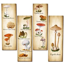 Yookeer 4 Pack Mushroom Wall Decor Vintage Mushroom Wall Art Sign Rustic Wooden Mushroom Kitchen Decor Mushroom Poster Hanging Fungus Aesthetic Art for Bedroom Dining Room Living Room Office (15.7 x 5.2 Inch)