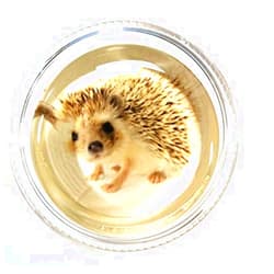 G-CAIH Magic Rosin Ultra - Harriett The Hedgehog