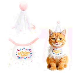 Vin Beauty 2 PCS Cat Birthday Hat Bandana, Scarf and Party Hat Girl Cat Birthday Hats & Lace Bib Outfit Party Hats Mini Doggy Cats Birthdays Mesh Bib, Pink