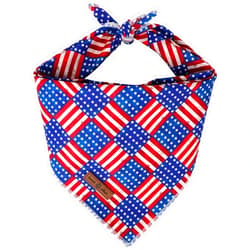 lionet paws Patriotic 4th of July Dog Bandana American Flag for Small Medium Large Dogs, Cat Dog Kerchief Triangle Bibs Scarf for Male Female