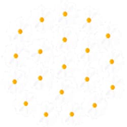 PAGOW 20 Pcs Flower Iron on Patches, Cute Daisy Flower Applique Patch, Sew On Embroidered Applique Sewing Patches for Bags, Jackets, Jeans, Clothes DIY Patches, 1.57x1.57inch (W*H) - White