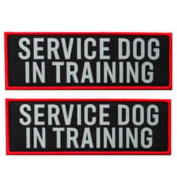 FITZNORA 2 Pcs Reflective Service Dog in Training Patch with Hook and Loop Backing, Embroidered Border with Printed Lettering Patch for Dog Vest Harness Working Dogs (6 x 2 inches)