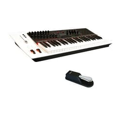 Nektar Panorama P4 49-key MIDI Controller Keyboard With Nektar NP-2 Universal Sustain Pedal