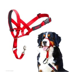 Company of Animals HALTI Headcollar - to Stop Your Dog Pulling on The Leash. Adjustable, Reflective and Lightweight, with Padded Nose Band. Dog Training Anti-Pull Collar for Large Dogs (Size 4, Red)