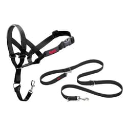 The Company of Animals HALTI Headcollar Size 3, Black & HALTI Training Leash Size Large, Black Combination Pack - Stop Your Dog Pulling on the Leash. Adjustable, Lightweight with Padded Nose Band. Suitable for Medium Dogs
