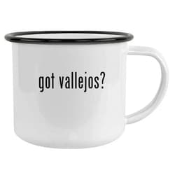 Molandra Products got vallejos? - 12oz Camping Mug Stainless Steel, Black
