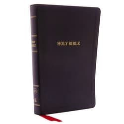 Thomas Nelson KJV Holy Bible: Giant Print with 53,000 Cross References, Deluxe Black Leathersoft, Red Letter, Comfort Print: King James Version