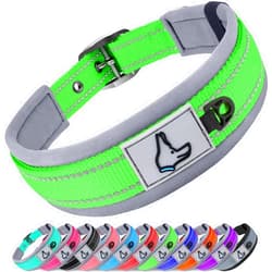 Joytale Dog Collar for Medium Dogs, Neoprene Padded and Adjustable, Reflective Wide Heavy Duty Pet Collars with Durable Metal Belt Buckle for Walking, Green, M