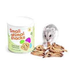 Niteangel Small Animal Snack & Treats - Small Critter Natural Treat for Dwarf Syrian Hamsters Gerbils Mice Sugar Glider Hedgehogs Chickens Birds (Freeze-Dried Worms- 1.4oz (40g))