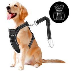 VavoPaw Dog Vehicle Safety Vest Harness, Adjustable Soft Padded Mesh Car Seat Belt Leash Harness with Reflective Strip Travel Strap and Carabiner for Most Cars, L Size, Carbon Black