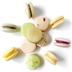 Macaron Centrale 12 Naturally Vegan Surprise Me Assortment Macaron Set