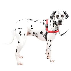 PetSafe Easy Walk Deluxe Dog Harness, No Pull Dog Harness – Perfect for Leash & Harness Training – Stops Pets from Pulling and Choking on Walks – Large, Rose