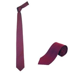 JNJSTELLA Men's Extra Long Silk Tie with Gift Box