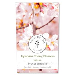 Gaea's Blessing Seeds - Japanese Cherry Blossom Tree Seeds - Sakura Tree Seeds - Prunus serrulata - Non-GMO Tree Seeds with Easy to Follow Instructions, Heirloom, Open-Pollinated, Untreated
